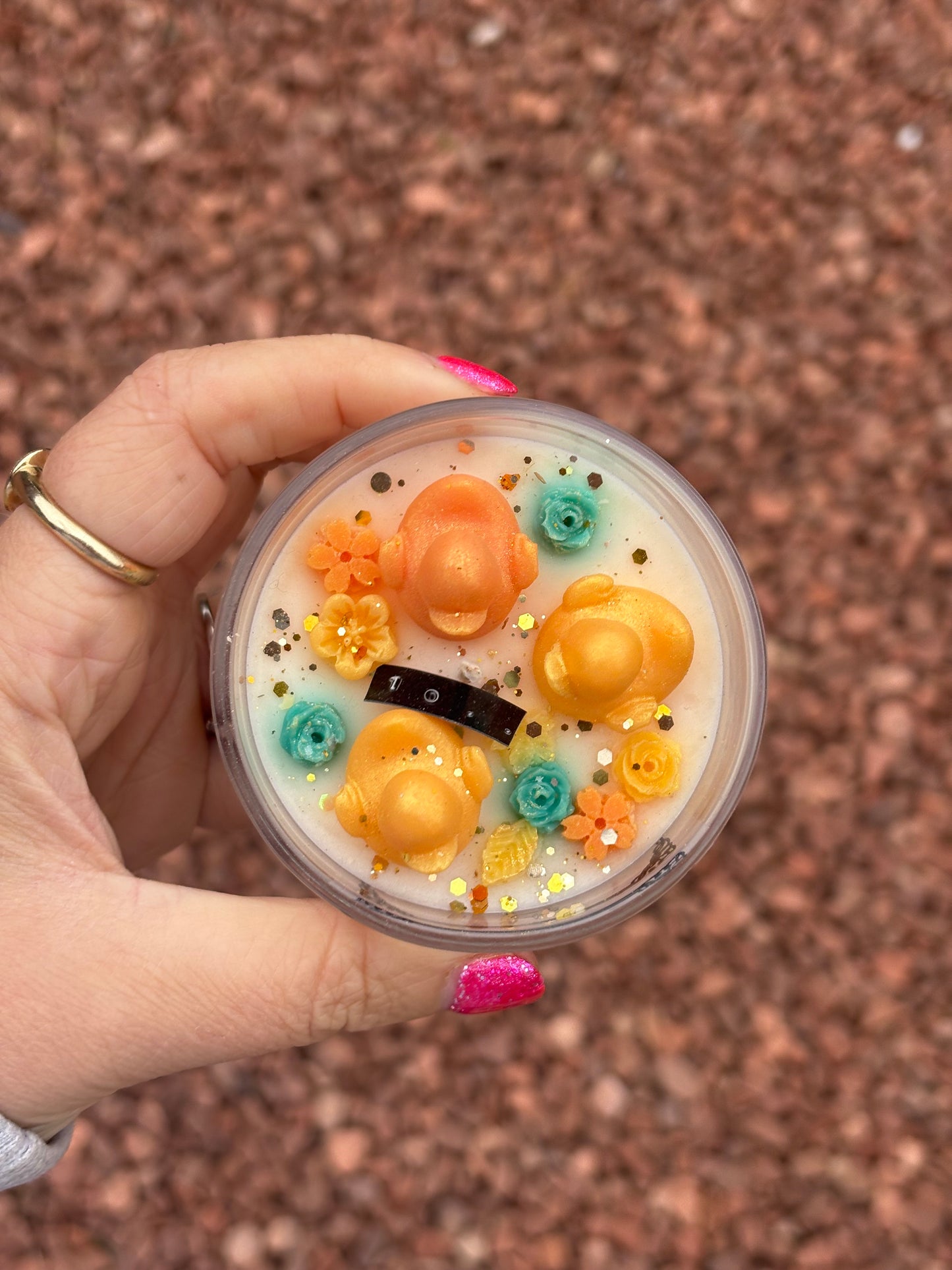 Market stock - autumn ducks