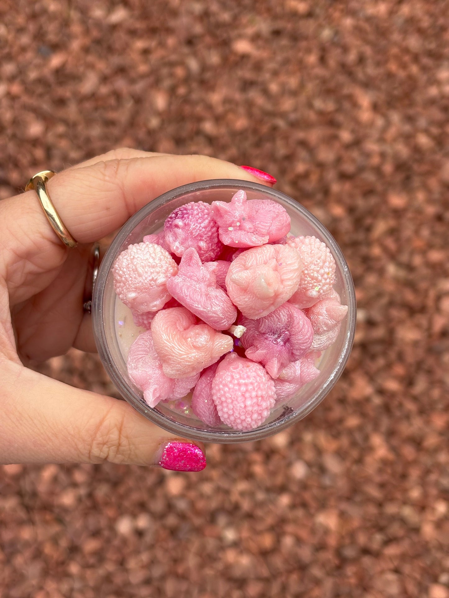 Market stock - hybrid foxes